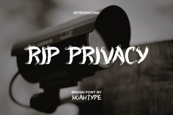 Rip Privacy: Unleashing Mysterious, Grunge Brush Vibes